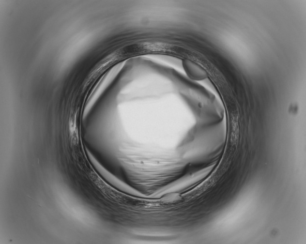 X0000094921198200712201213