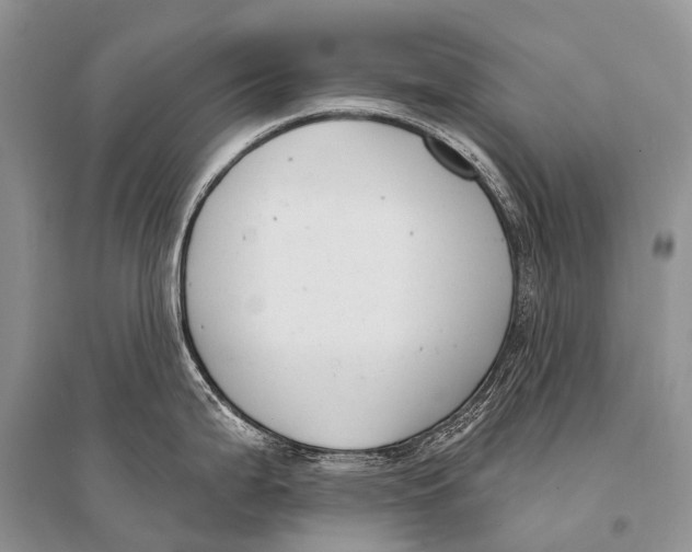 X0000094921199200712201213