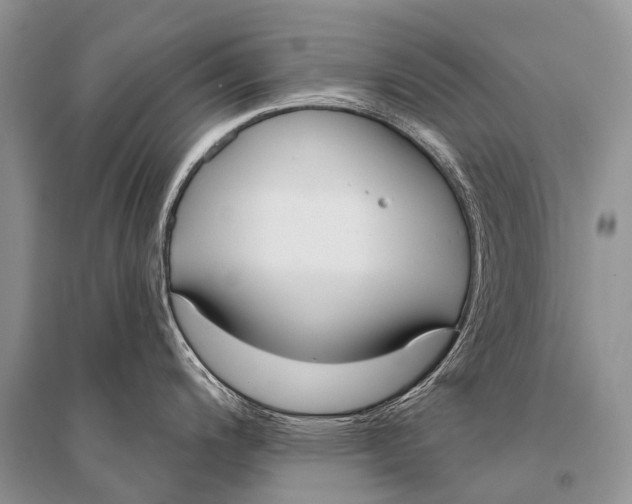 X0000094921200200712201213