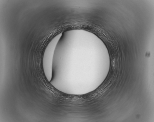 X0000094921204200712201212