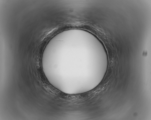 X0000094921205200712201212