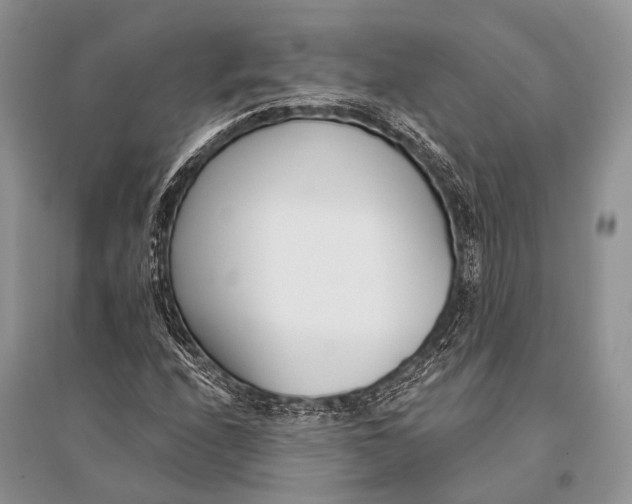 X0000094921208200712201212