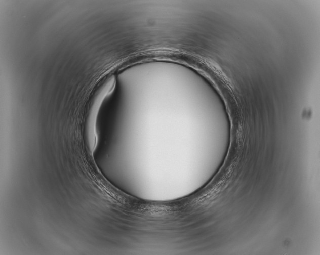 X0000094921209200712201212