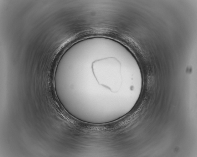 X0000094921210200712201212