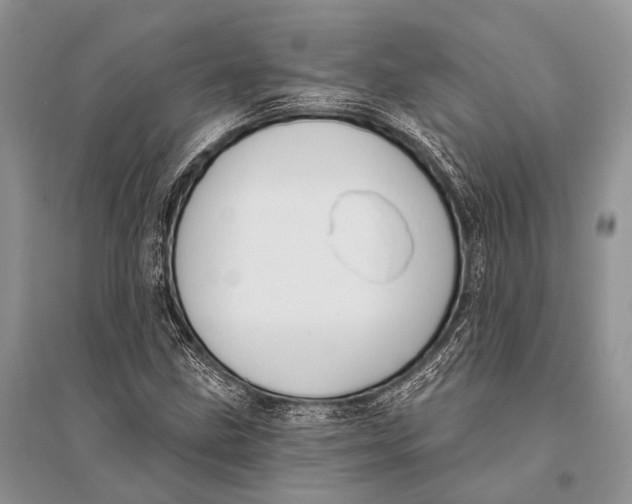 X0000094921211200712201212