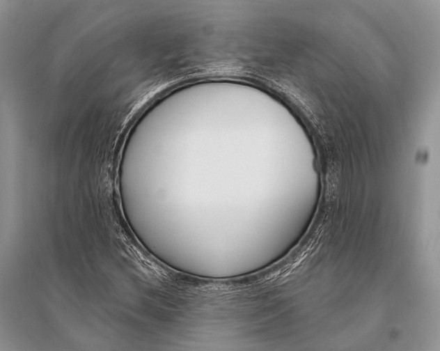 X0000094921212200712201212