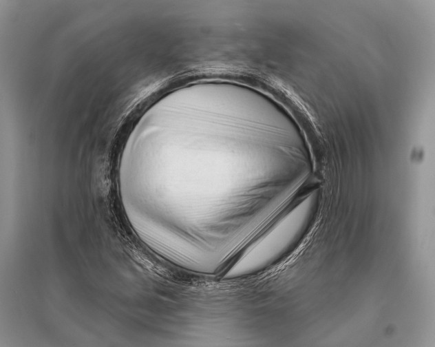 X0000094921213200712201212