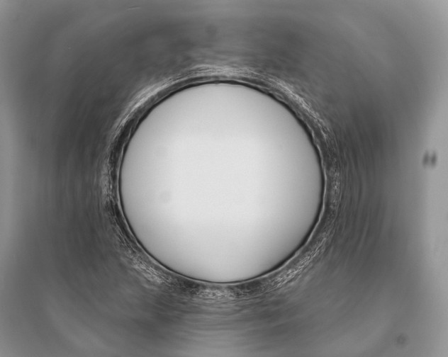 X0000094921215200712201212