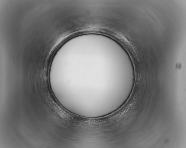 X0000094921216200712201212