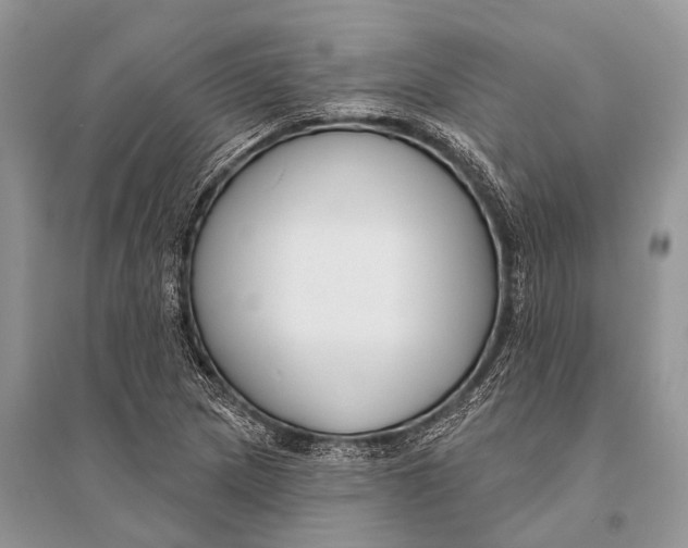 X0000094921217200712201212