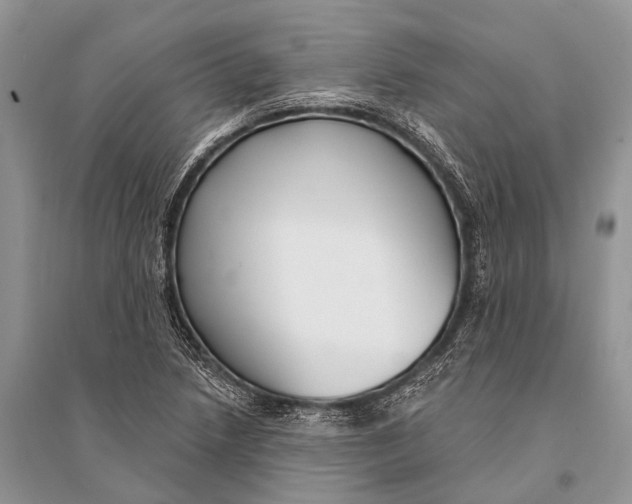 X0000094921218200712201212