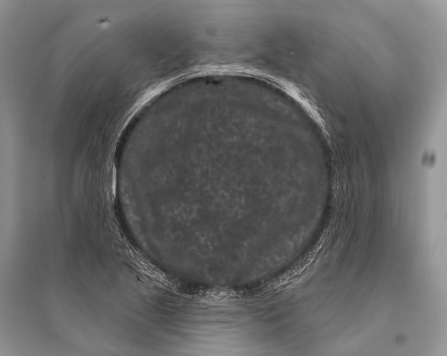 X0000094921221200712201212