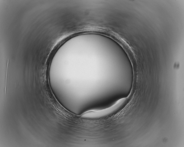 X0000094921222200712201212