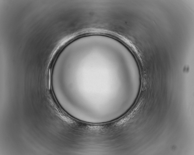 X0000094921223200712201212