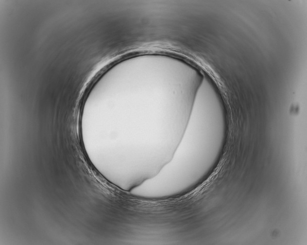 X0000094921224200712201212