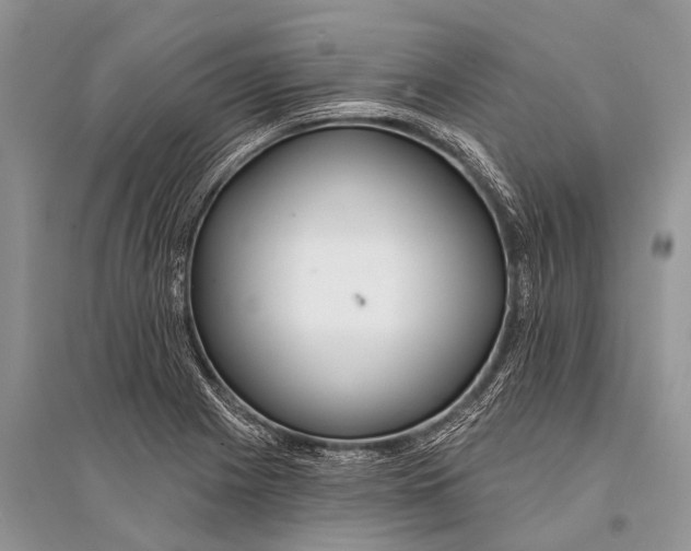 X0000094921225200712201212