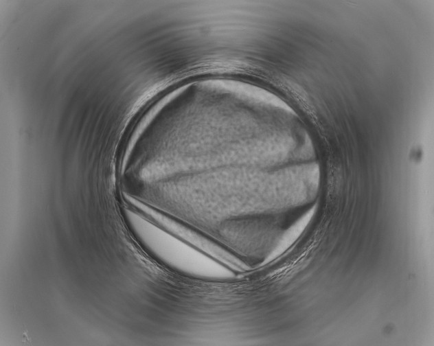 X0000094921226200712201212