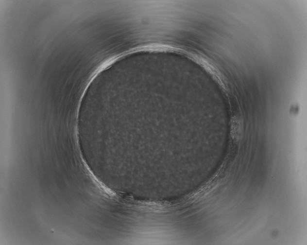 X0000094921229200712201212