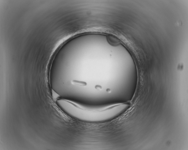 X0000094921230200712201212