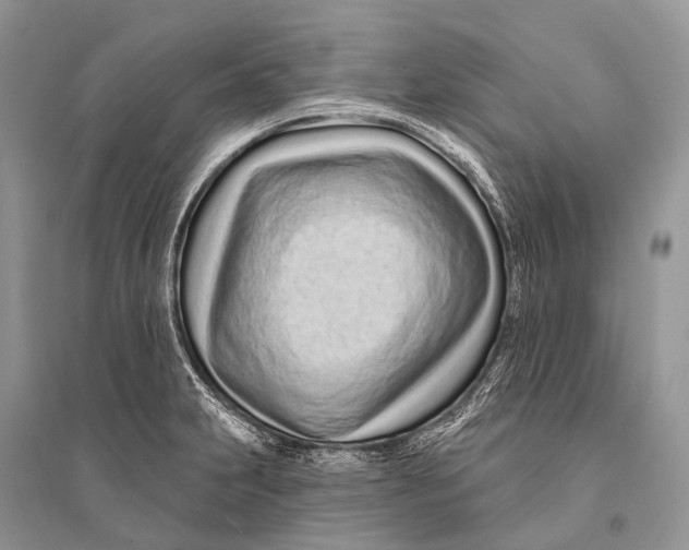 X0000094921231200712201212