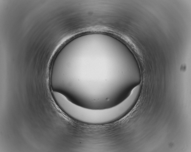 X0000094921232200712201212