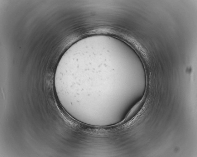 X0000094921233200712201212