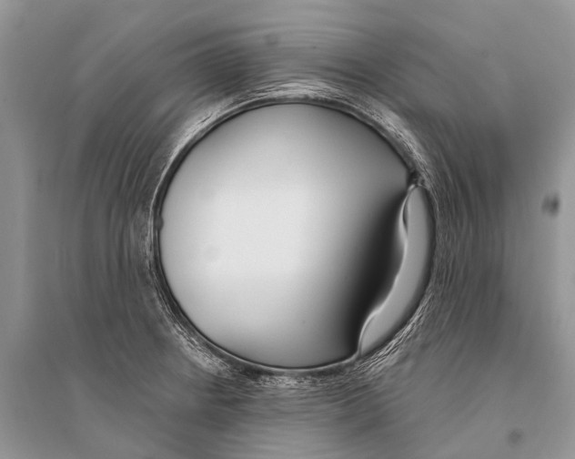 X0000094921234200712201212