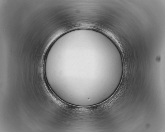 X0000094921235200712201212