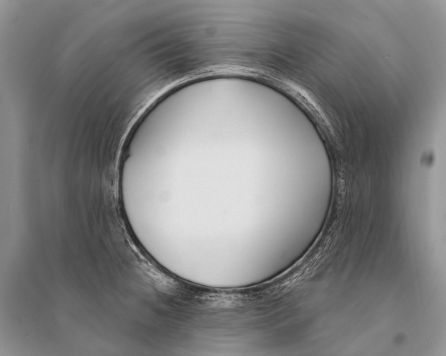 X0000094921236200712201212