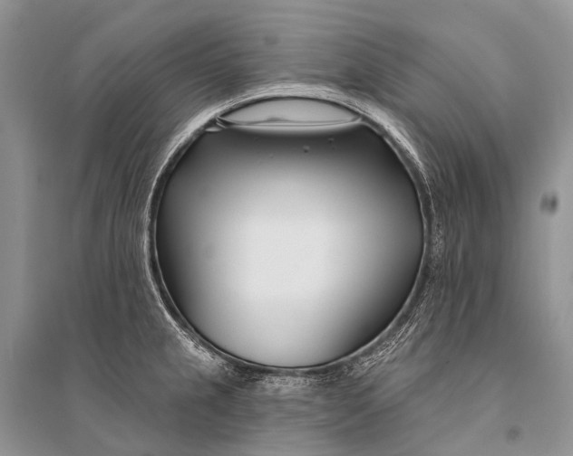 X0000094921237200712201212