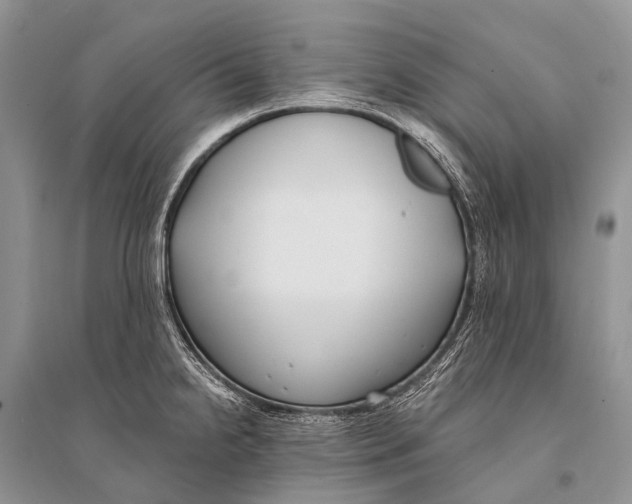 X0000094921238200712201212