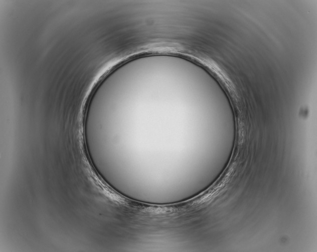 X0000094921240200712201212