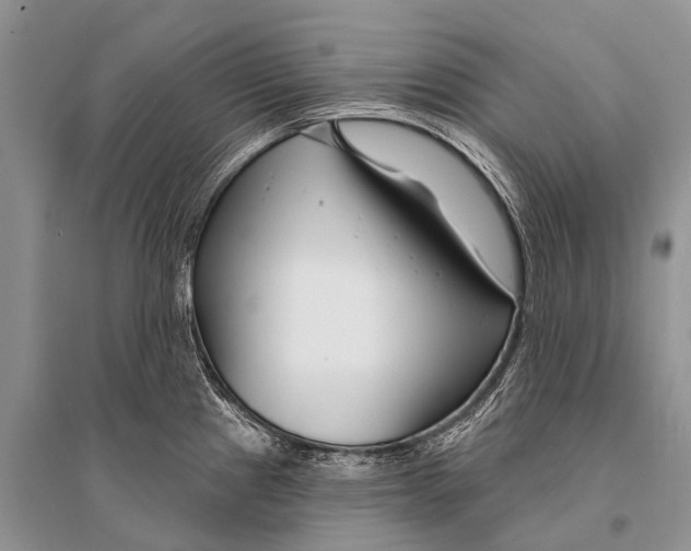 X0000094921241200712201213