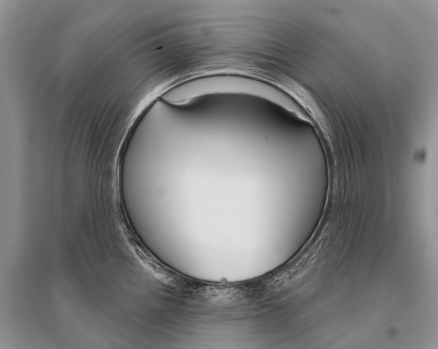 X0000094921242200712201213