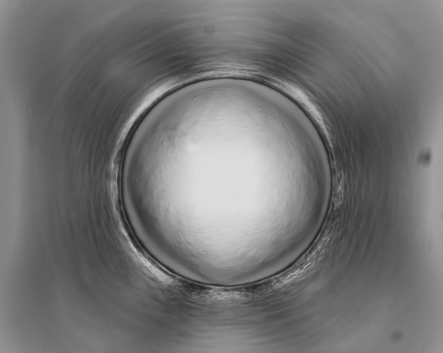 X0000094921243200712201213