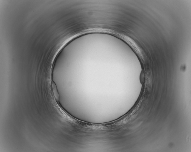 X0000094921244200712201213