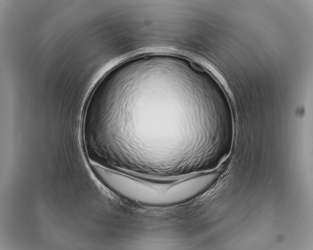 X0000094921245200712201213