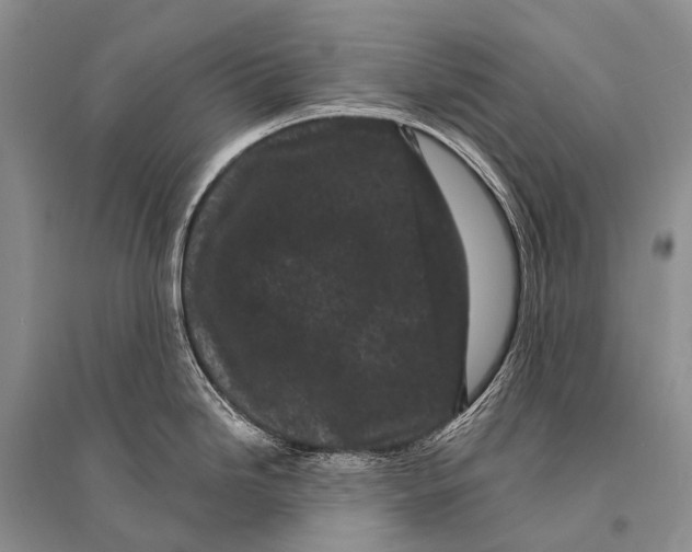 X0000094921246200712201213