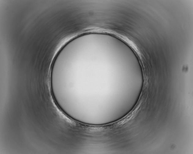 X0000094921247200712201213