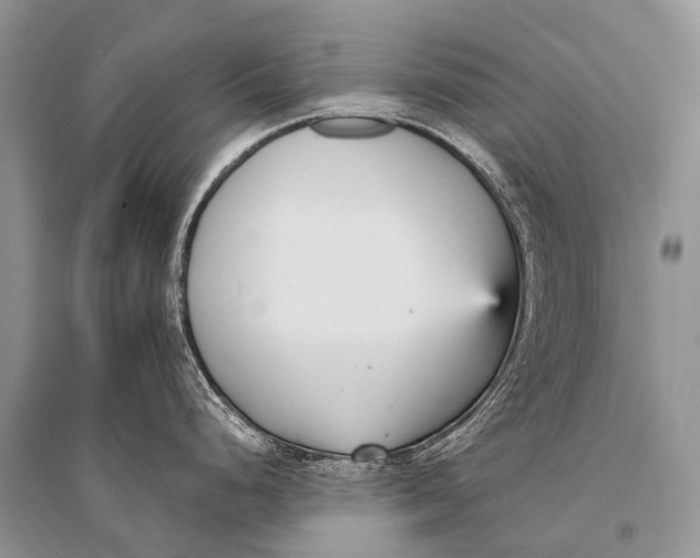 X0000094921248200712201213