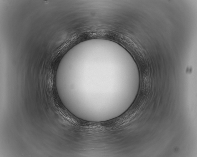 X0000094921250200712201212