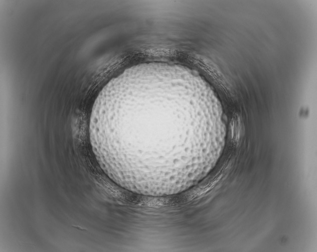 X0000094921251200712201212