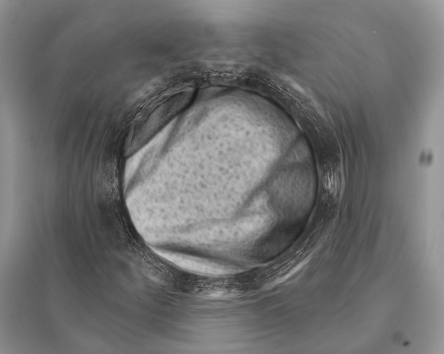 X0000094921252200712201212