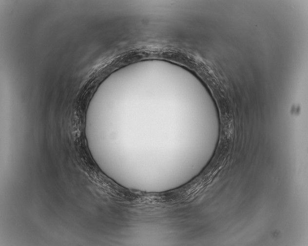 X0000094921253200712201212