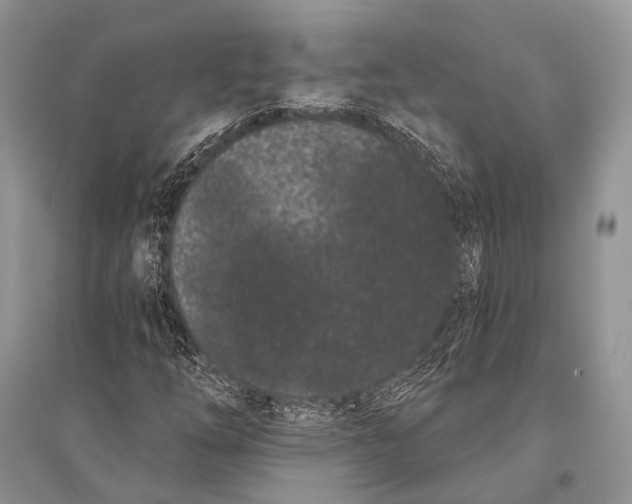 X0000094921254200712201212