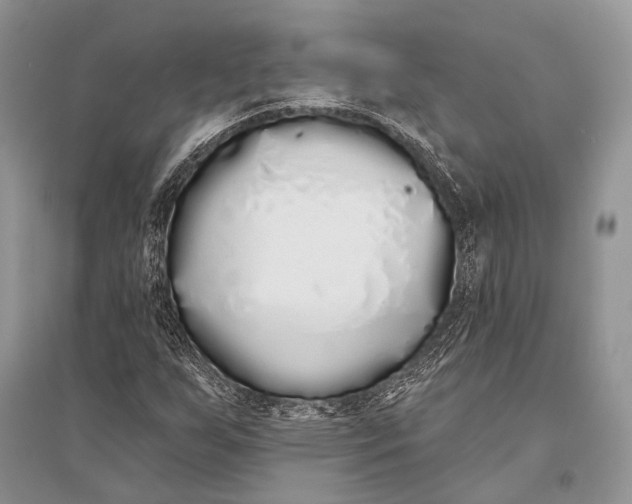 X0000094921255200712201212