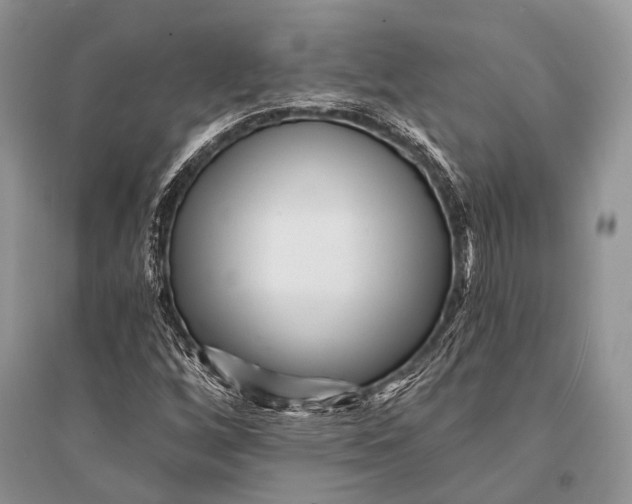 X0000094921256200712201212