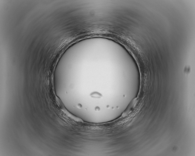 X0000094921257200712201212