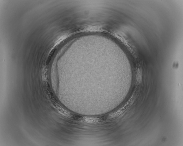 X0000094921258200712201212