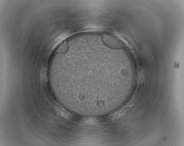 X0000094921259200712201212